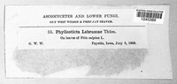 Image Associated With the Occurence